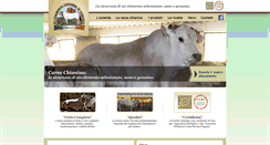 Desktop Screenshot of chianinadicanossa.it